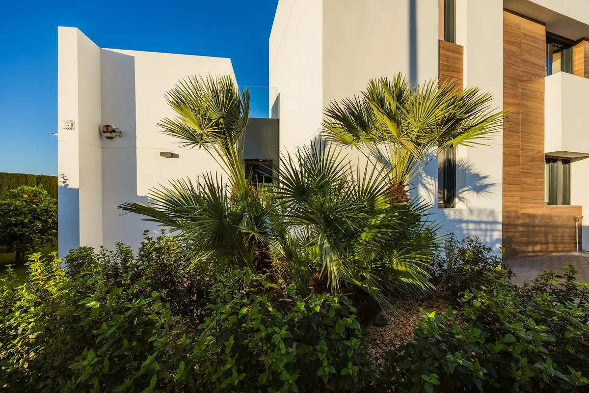 4-bedroom Villa In Algorfa, Spain (300 M²)