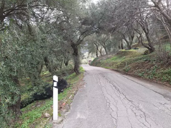 Land In Corfu, Greece