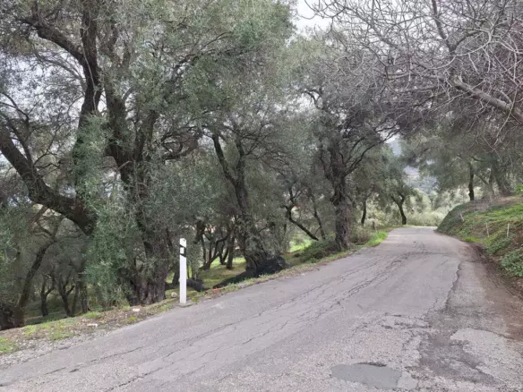 Land In Corfu, Greece