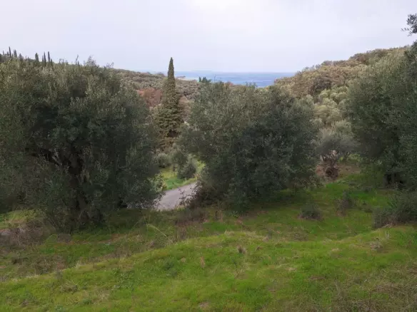 Land In Corfu, Greece