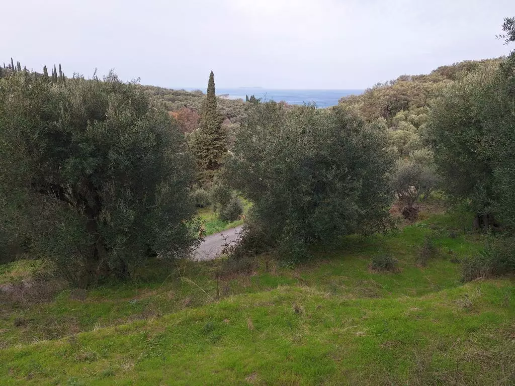 Land In Corfu, Greece