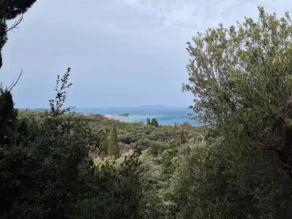 Land In Corfu, Greece (1.250 M²)