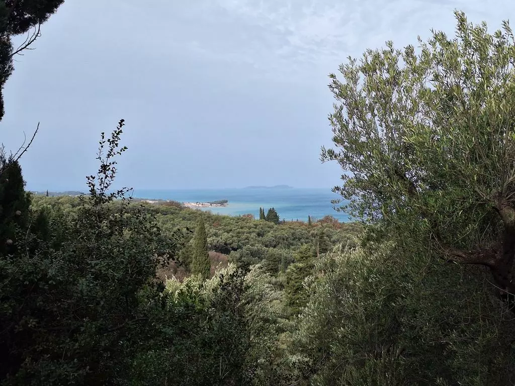 Land In Corfu, Greece (1.250 M²)