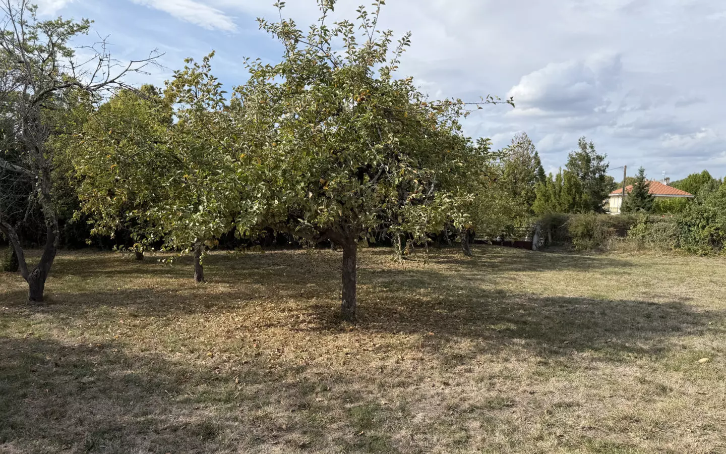 3-bedroom House In Riberac, France (90 M²)