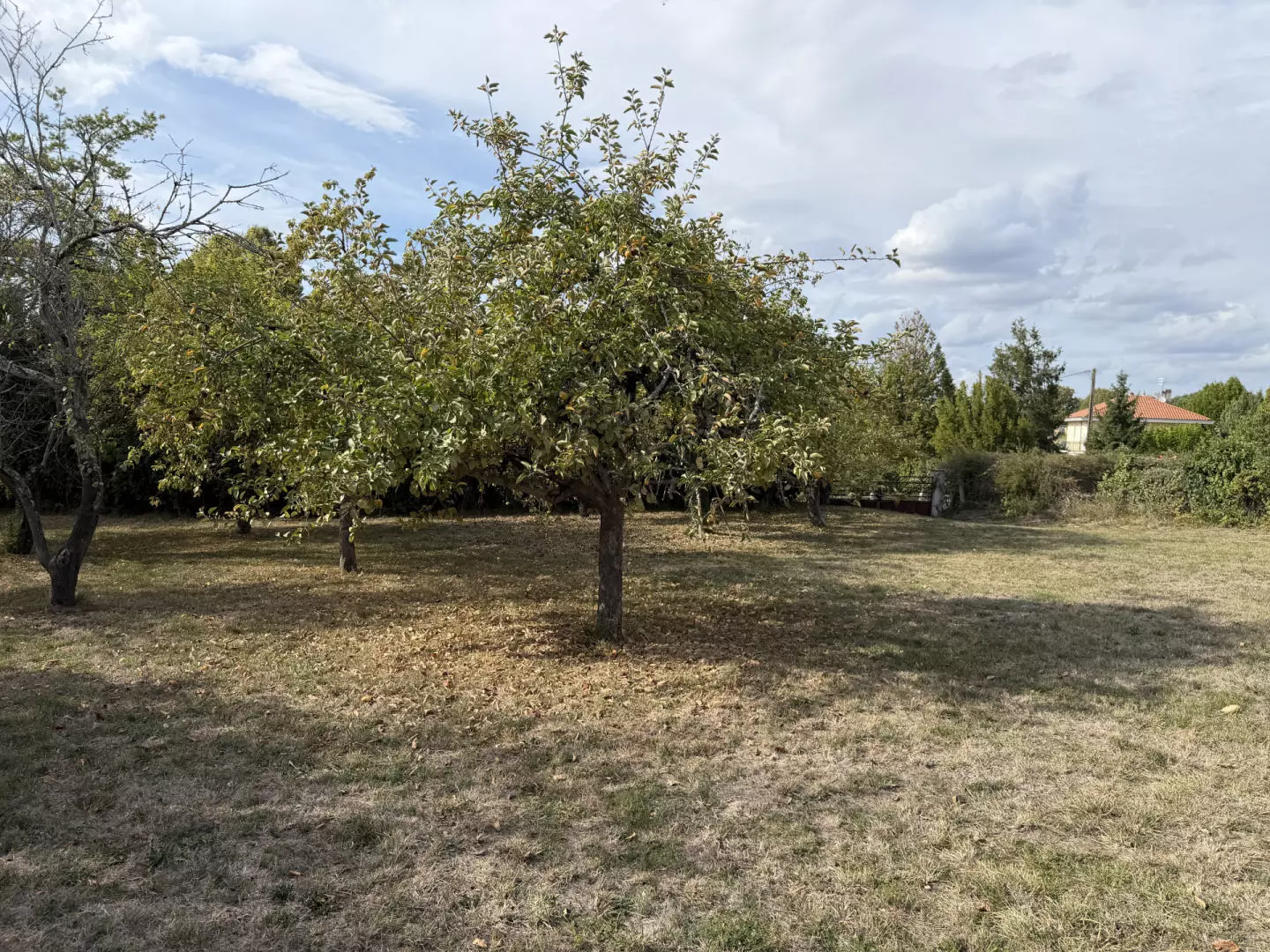 3-bedroom House In Riberac, France (90 M²)