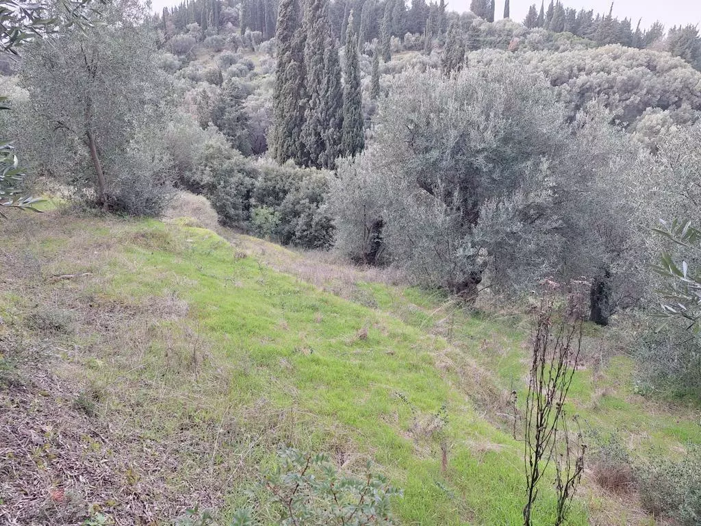Land In Corfu, Greece
