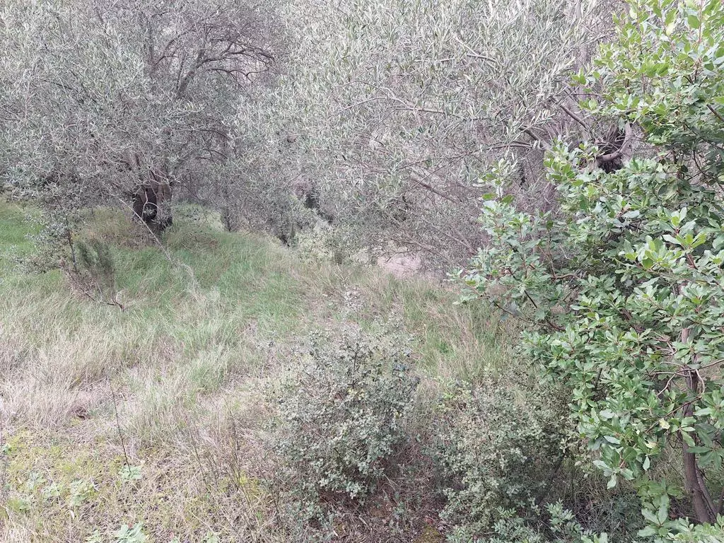 Land In Corfu, Greece (1.250 M²)