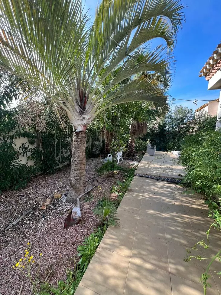 villa-playa-flamenca-playa-flameco-1234-10-019f35 3-bedroom Villa In Orihuela Costa, Spain (130 M²)