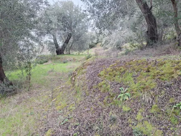 Land In Corfu, Greece