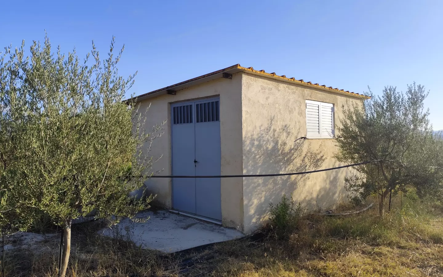 For Sale: Ultra-modern, High-yield 15-acre Organic Olive Grove In Chalandritsa, Achaia