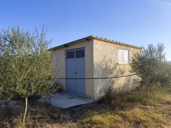 For Sale: Ultra-modern, High-yield 15-acre Organic Olive Grove In Chalandritsa, Achaia