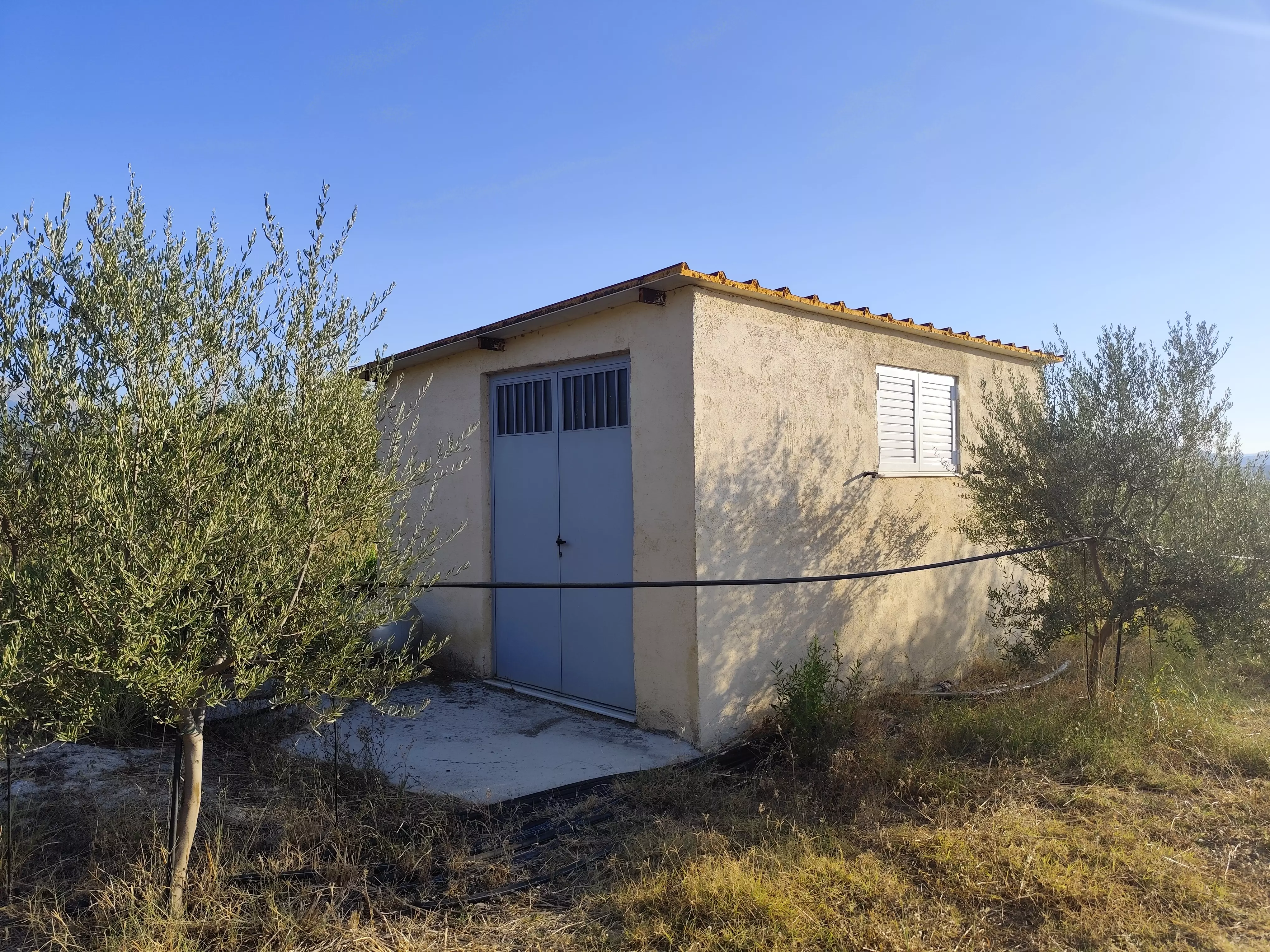 For Sale: Ultra-modern, High-yield 15-acre Organic Olive Grove In Chalandritsa, Achaia