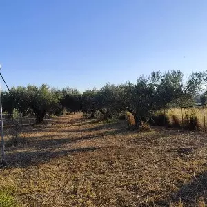 ANAGNOSTOPOULOS