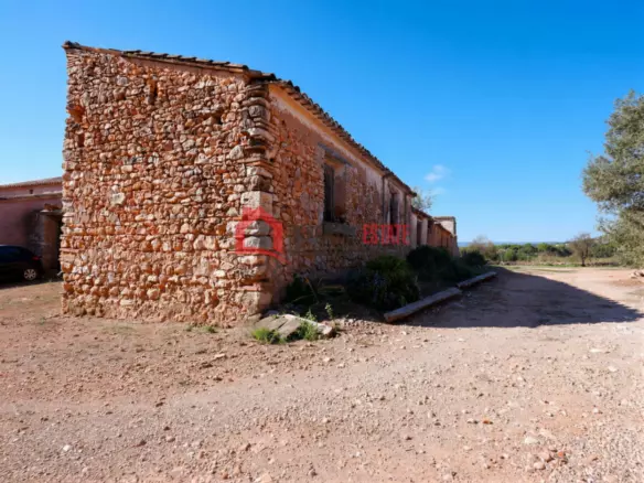 6-bedroom Farmhouse In Cheste (1.600 M²)