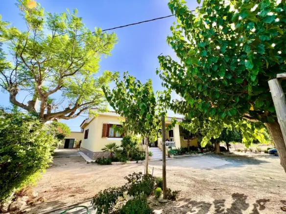 1-bedroom Villa In Daya Vieja, Spain (627 M²)