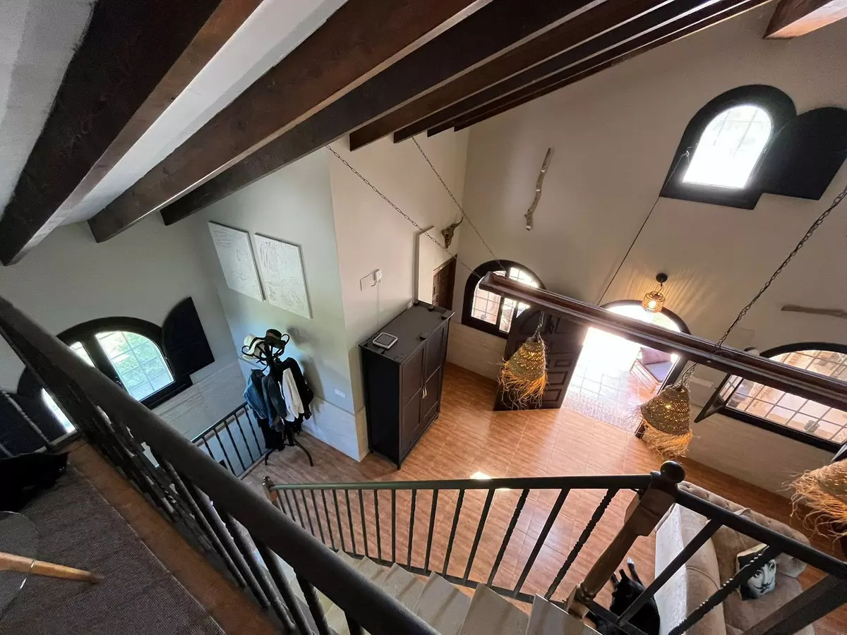 6-bedroom Villa In Elche, Spain (5.500 M²)