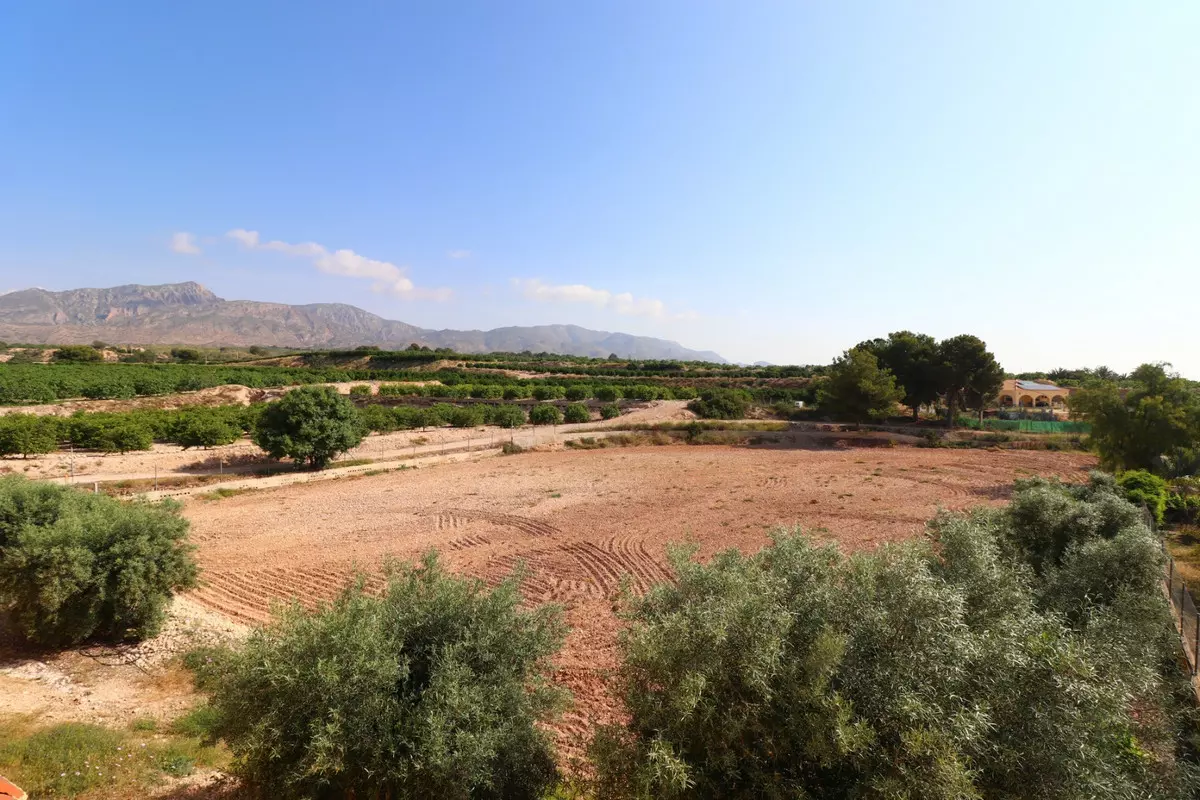 3-bedroom Villa In Albatera, Spain (164 M²)
