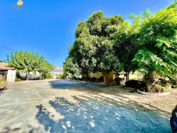 1-bedroom Villa In Daya Vieja, Spain (627 M²)