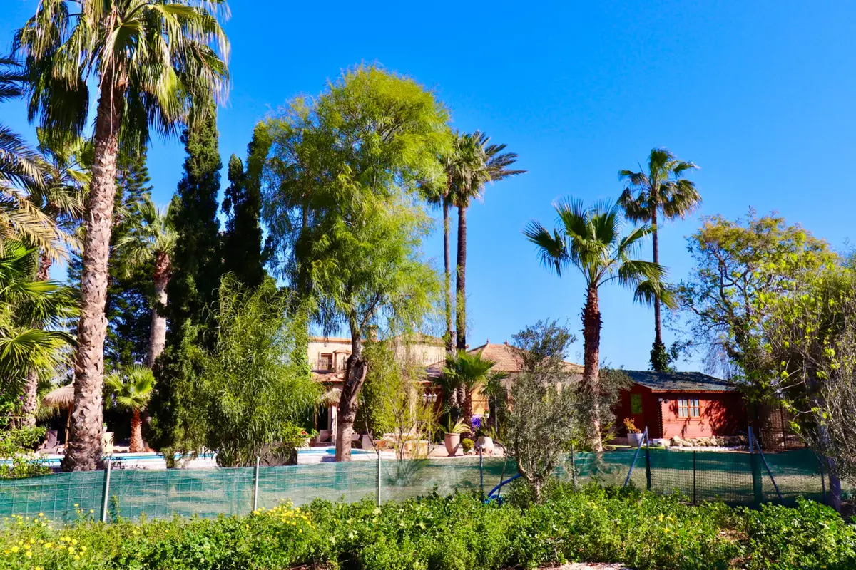 6-bedroom Villa In Almoradi, Spain (375 M²)