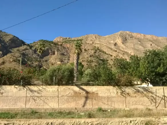 7-bedroom Country House In Orihuela, Spain (12.441 M²)