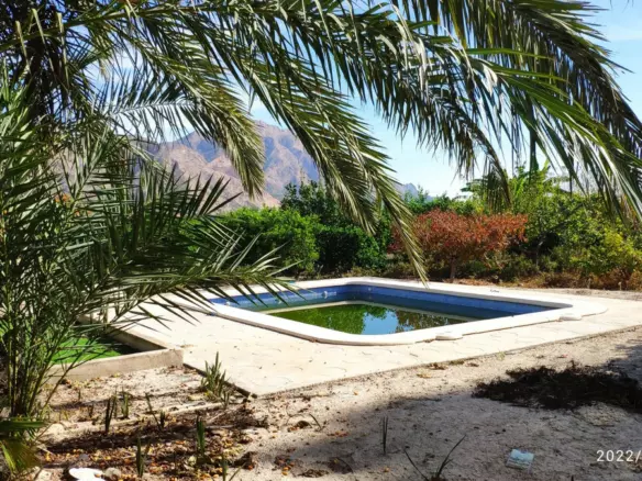 2-bedroom Villa In Redovan, Spain (319 M²)