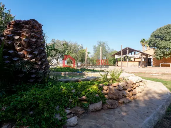 6-bedroom Farmhouse In Cheste (1.600 M²)