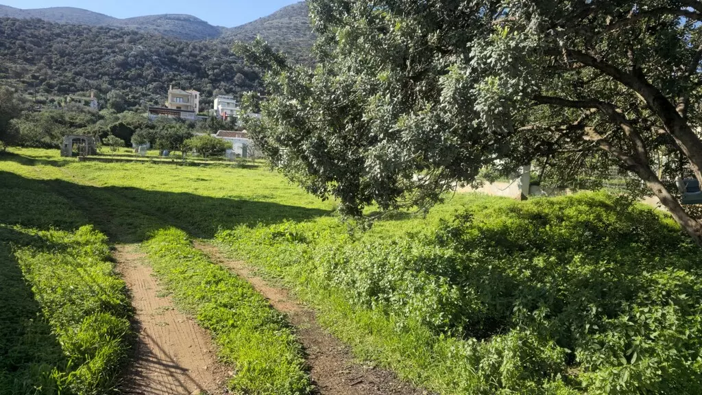 Land In Mallia, Greece