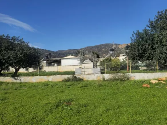 Land In Mallia, Greece