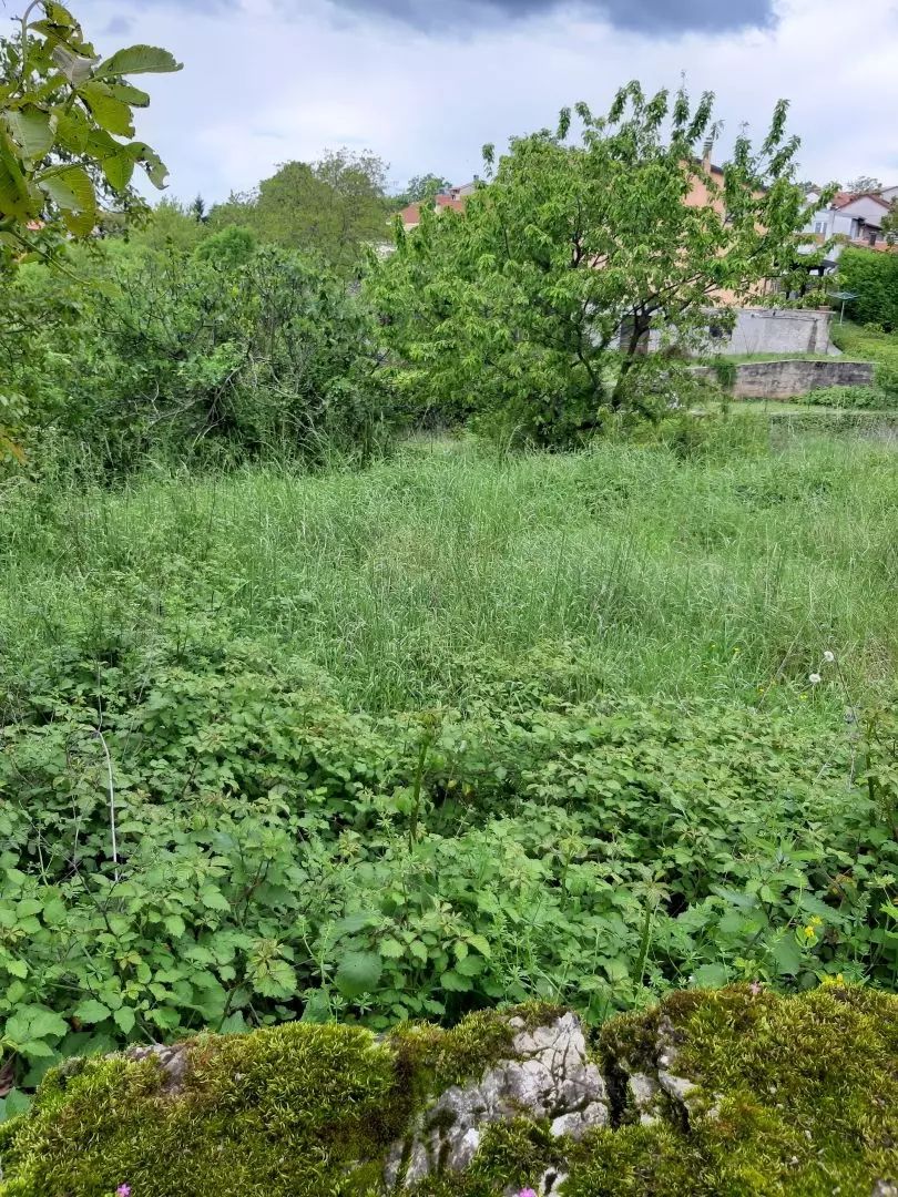 Land In Viškovo, Croatia (1.285 M²)