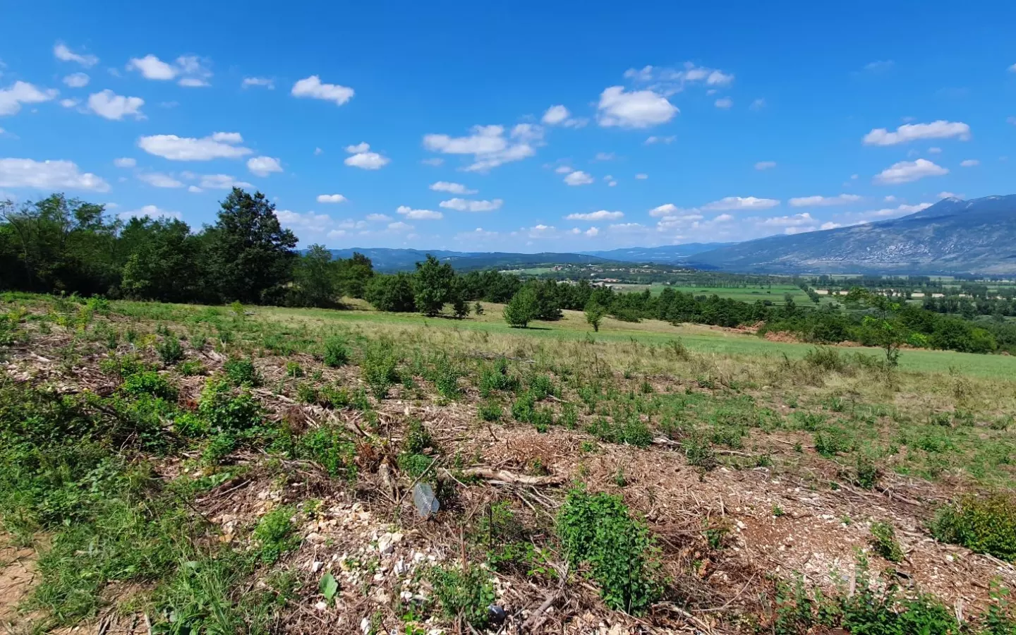 Land In Labin, Croatia (22.261 M²)