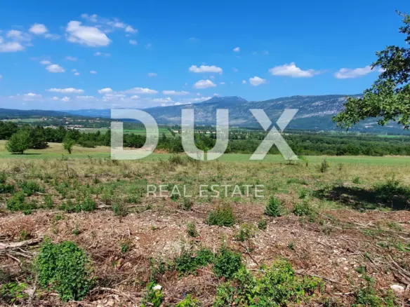 Land In Labin, Croatia (22.261 M²)