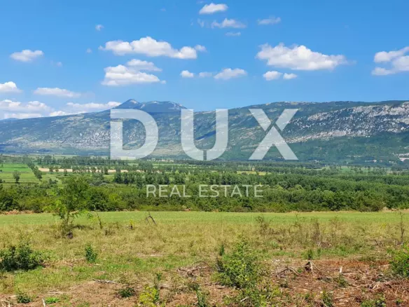Land In Labin, Croatia (22.261 M²)