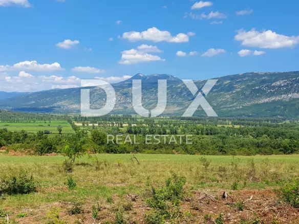 Land In Labin, Croatia (22.261 M²)