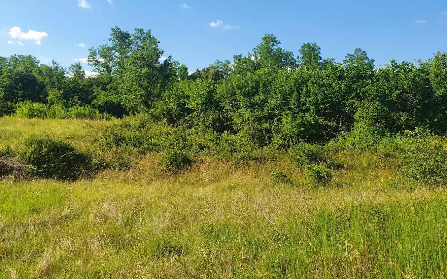 Land In Labin, Croatia (896 M²)