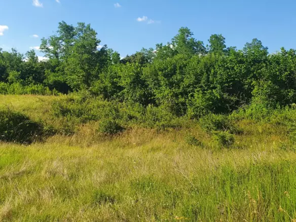 Land In Labin, Croatia (896 M²)