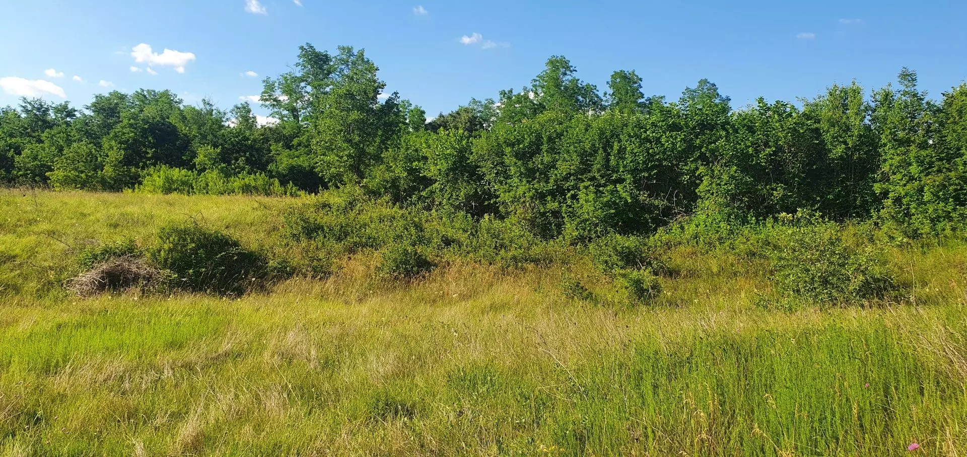 1655123860_20220610_174608-662f89 Land In Labin, Croatia (896 M²)