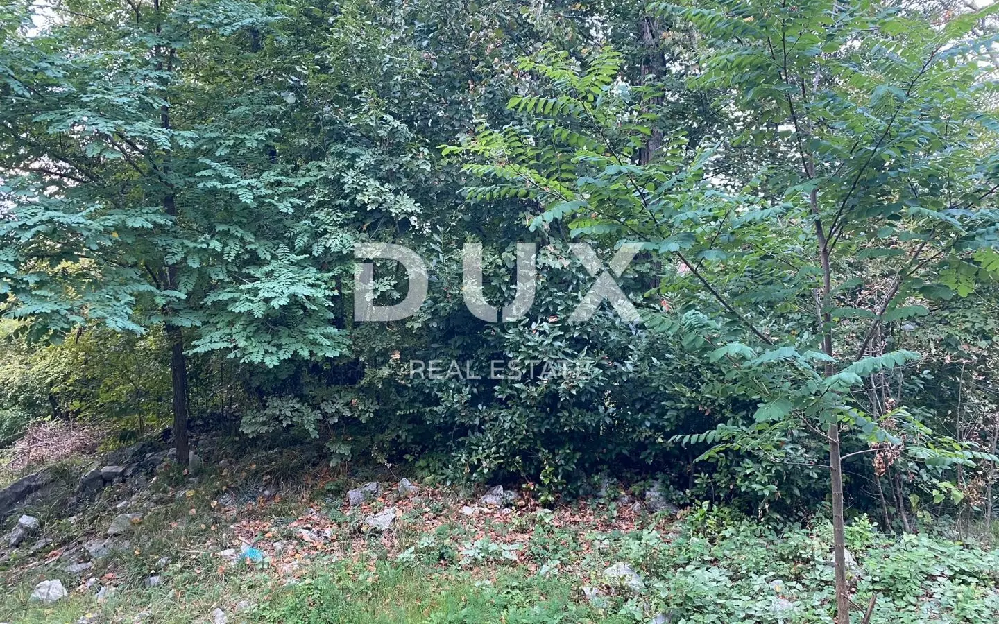 Land In Jušići, Croatia (3.095 M²)
