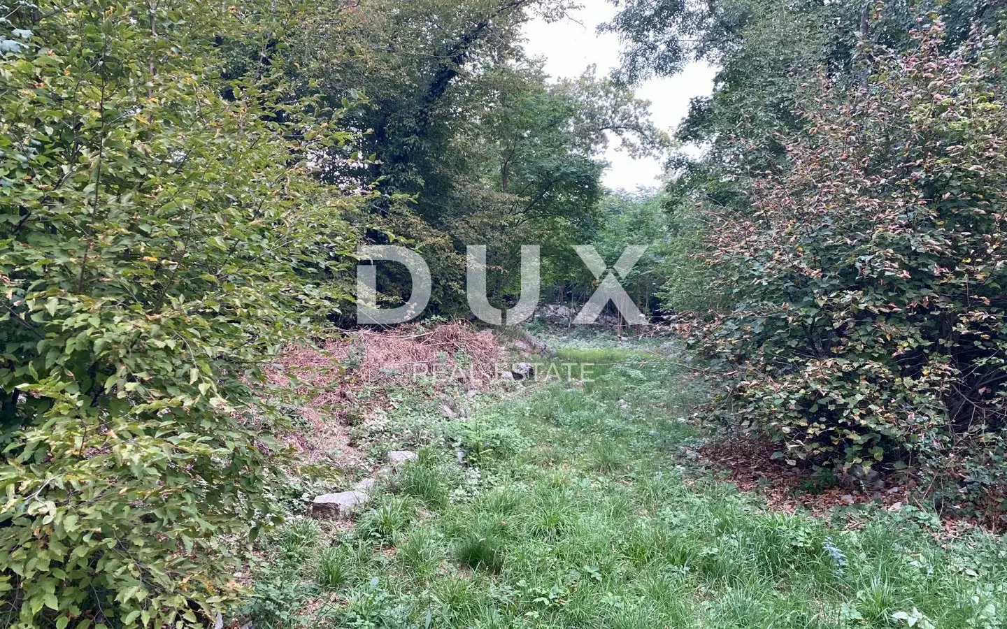 Land In Jušići, Croatia (3.095 M²)