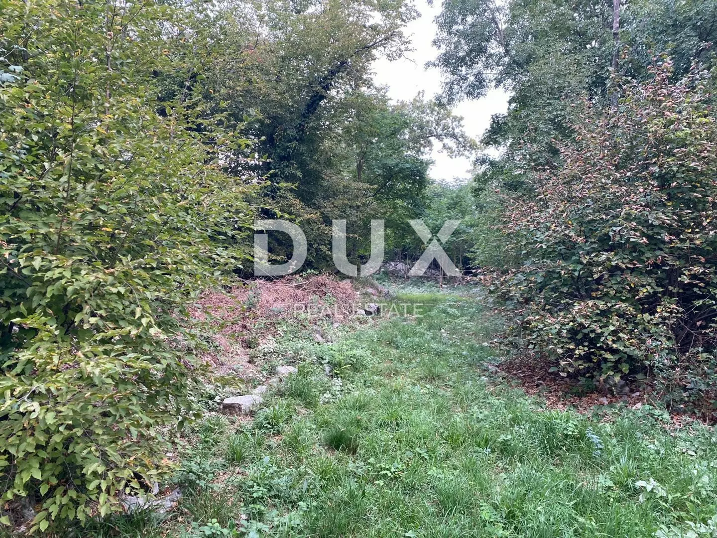 Land In Jušići, Croatia (3.095 M²)