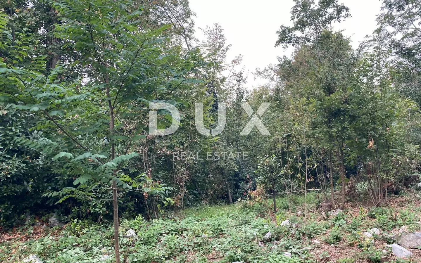 Land In Jušići, Croatia (3.095 M²)
