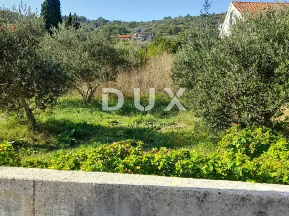 Land In Ugljan, Croatia (1.271 M²)