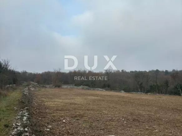 Land In Filipana, Croatia (1.295 M²)