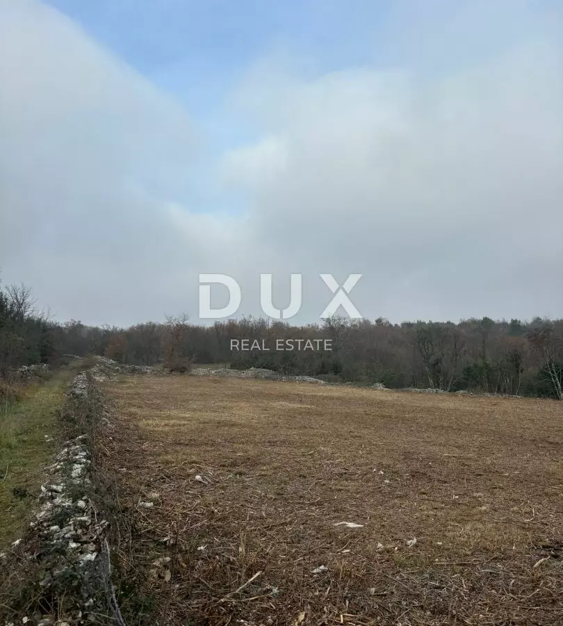 Land In Filipana, Croatia (1.295 M²)