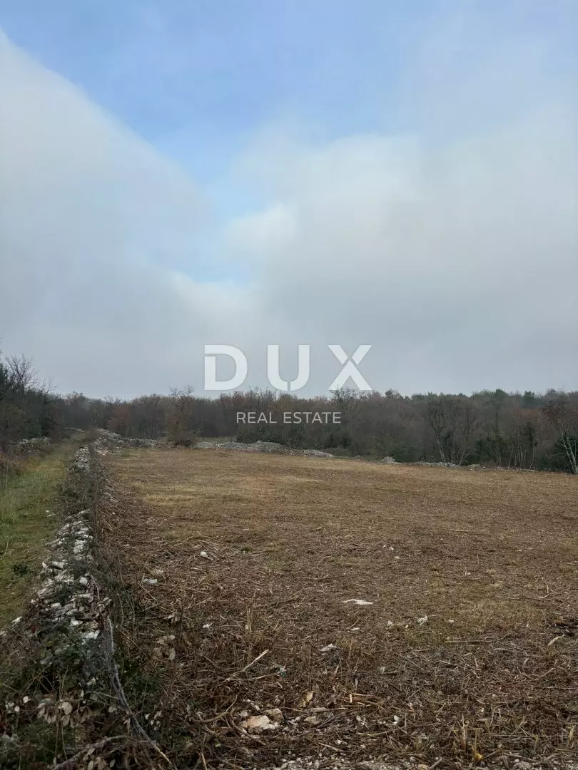 1736338629_whatsapp-image-2025-01-08-at-10-cc0252 Land In Filipana, Croatia (1.295 M²)