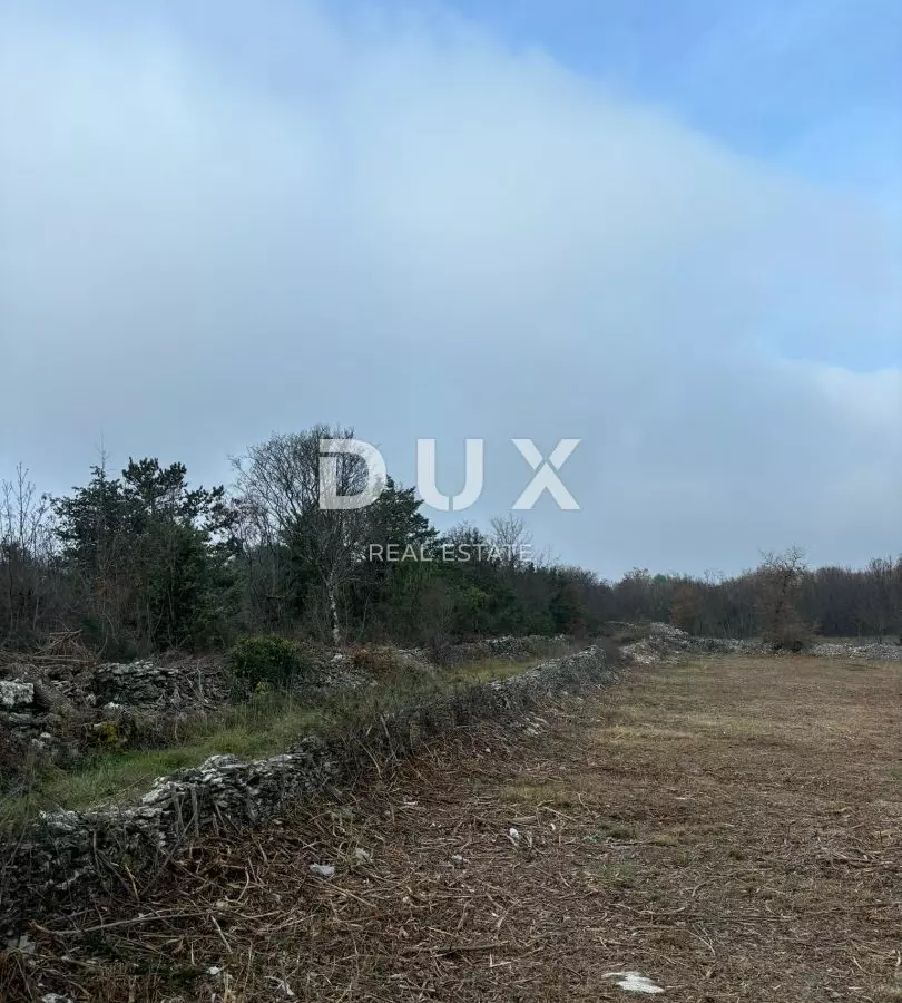 Land In Filipana, Croatia (1.295 M²)