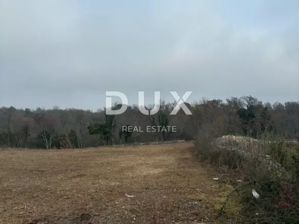Land In Filipana, Croatia (1.295 M²)