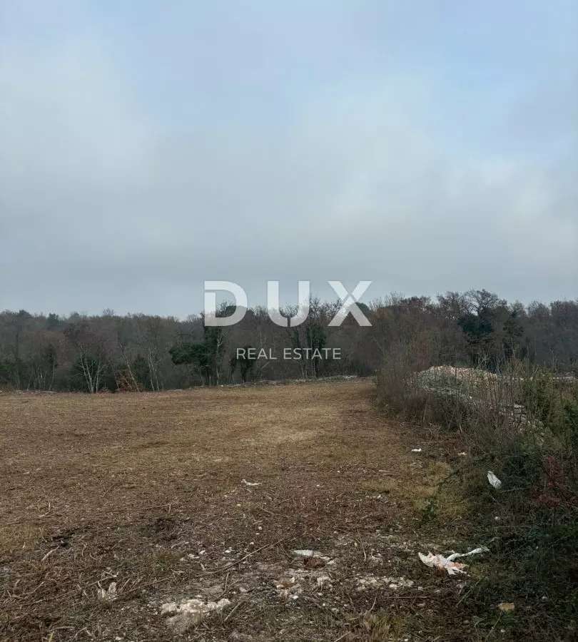 Land In Filipana, Croatia (1.295 M²)