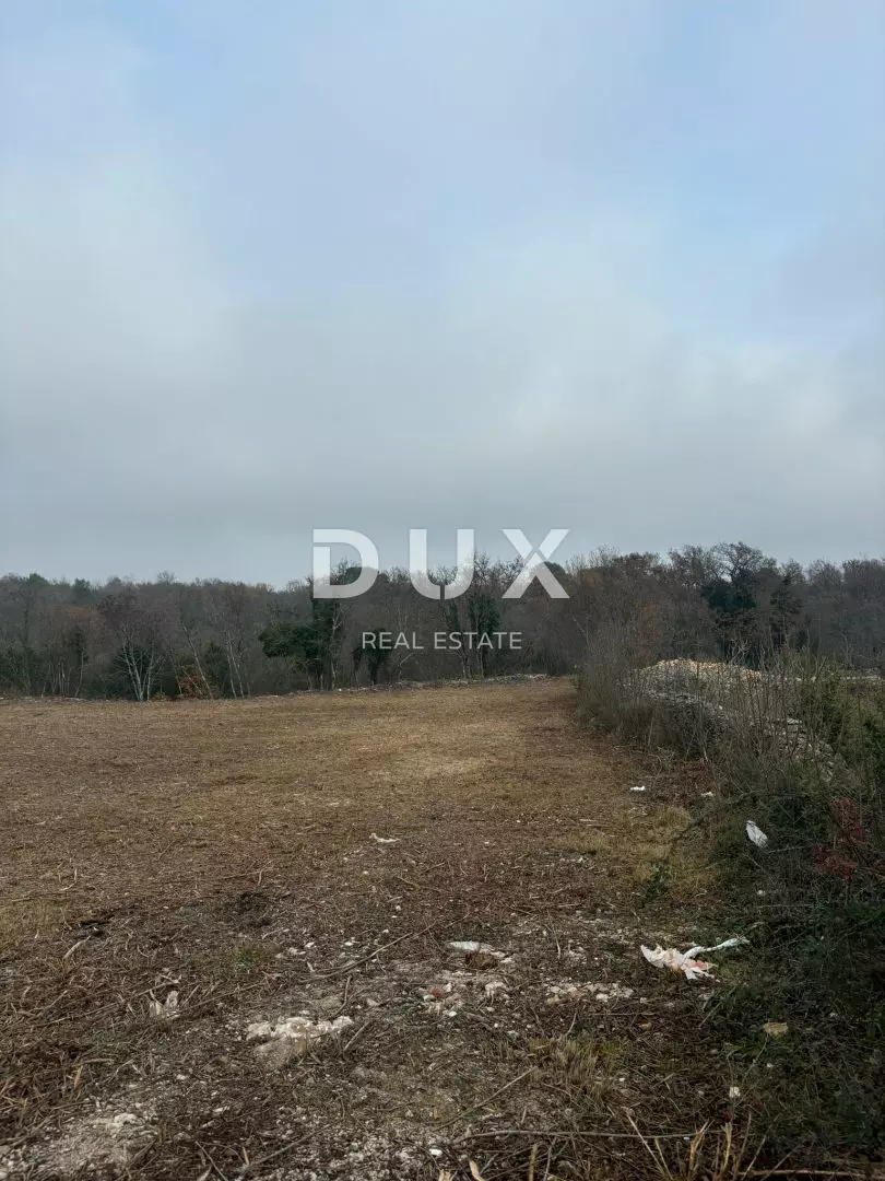 1736338633_whatsapp-image-2025-01-08-at-10-bf4acd Land In Filipana, Croatia (1.295 M²)