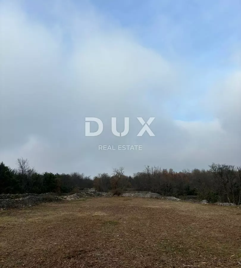 Land In Filipana, Croatia (1.295 M²)