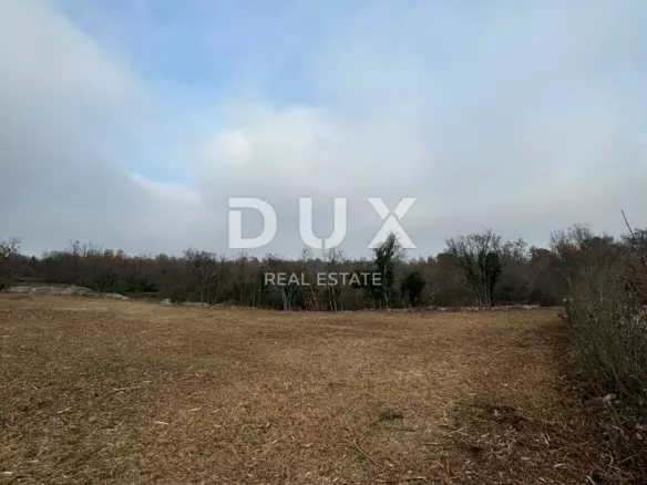 Land In Filipana, Croatia (1.295 M²)